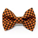 Checkered Dog Bow